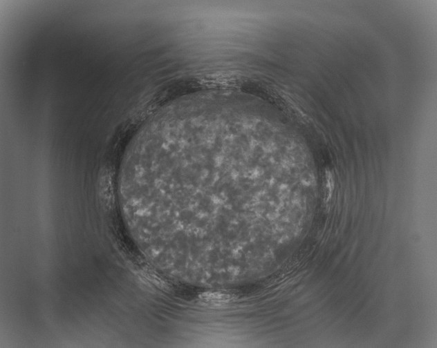 X0000073980699200609181717