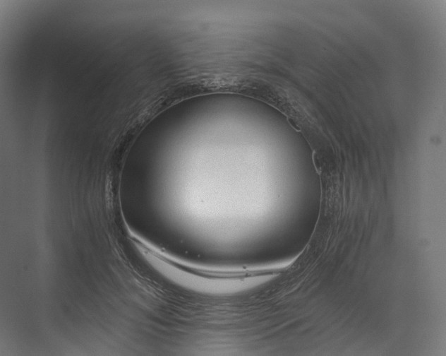 X0000073980700200609181717