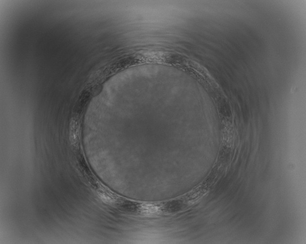 X0000073980701200609181717