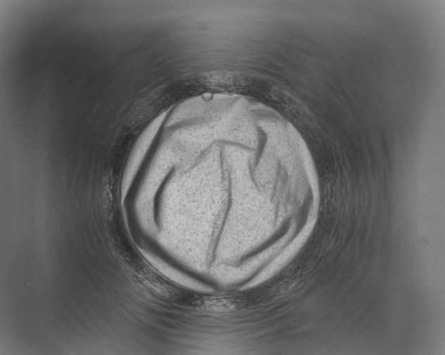 X0000073980702200609181717