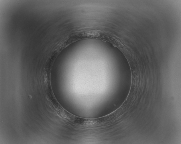 X0000073980704200609181717