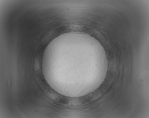 X0000073980705200609181716