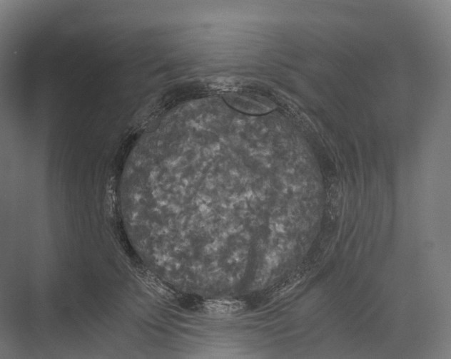 X0000073980707200609181716