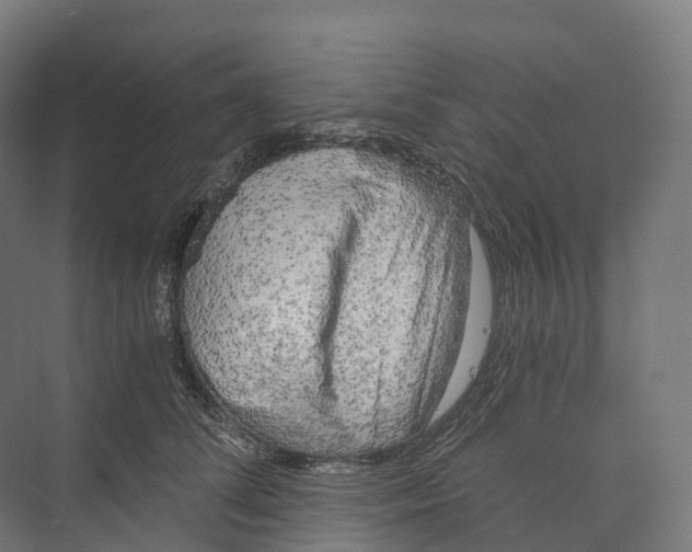 X0000073980708200609181716