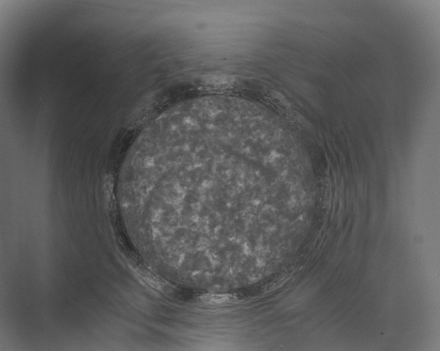 X0000073980711200609181716