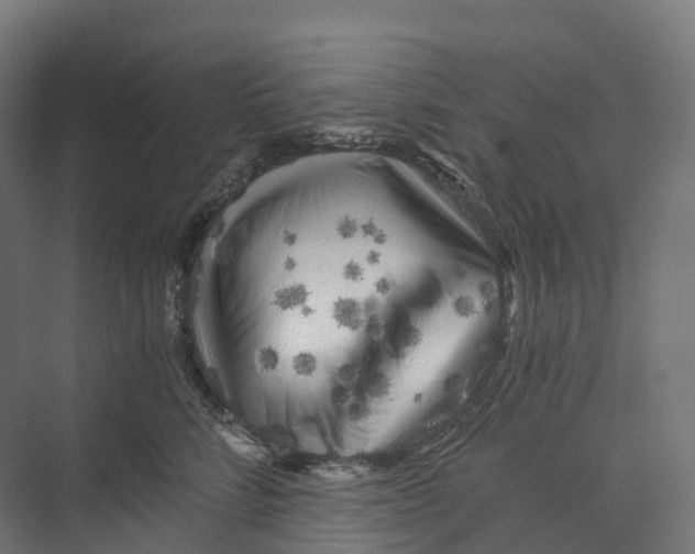 X0000073980712200609181716