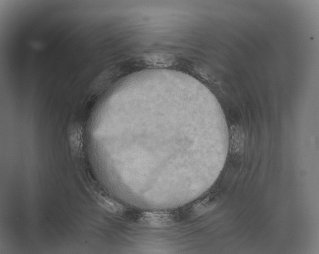 X0000073980713200609181716