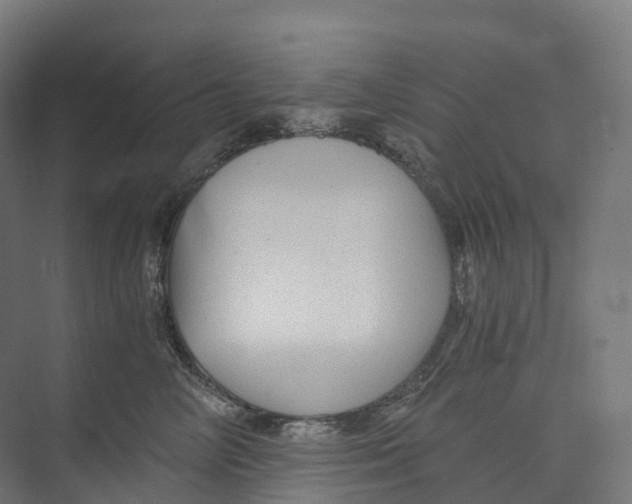 X0000073980714200609181716