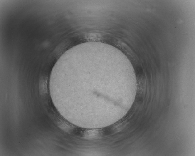 X0000073980717200609181716