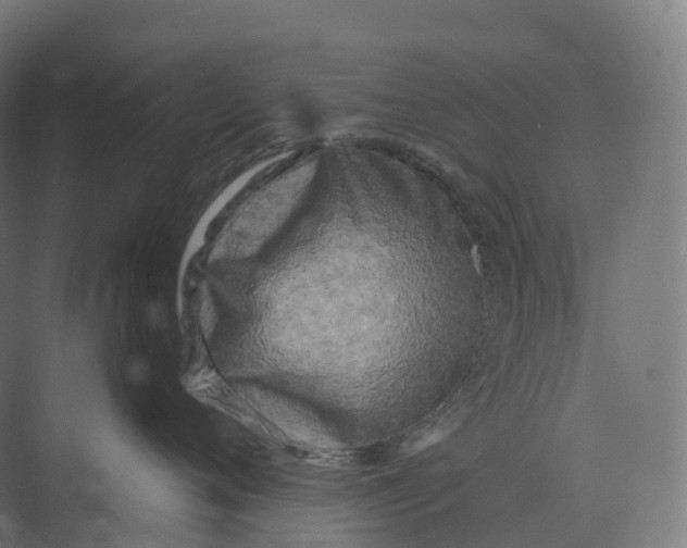 X0000073980720200609181716