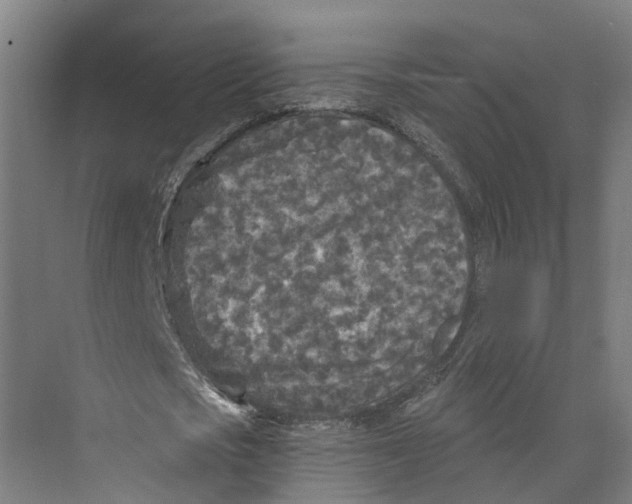 X0000073980721200609181715