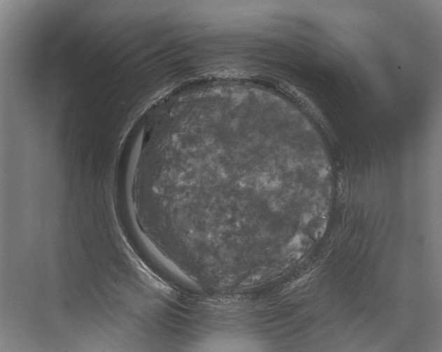 X0000073980725200609181715