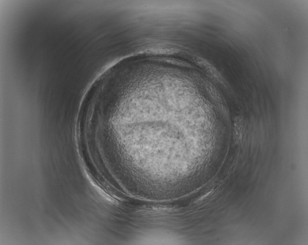 X0000073980726200609181716