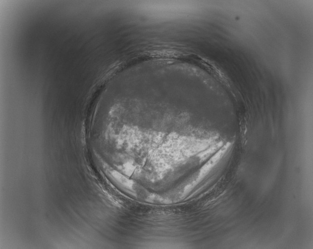 X0000073980729200609181716