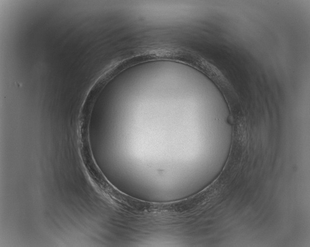 X0000073980730200609181716