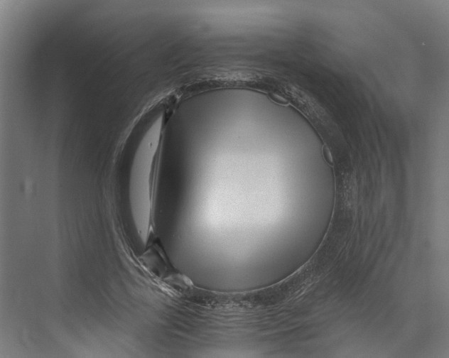 X0000073980731200609181716