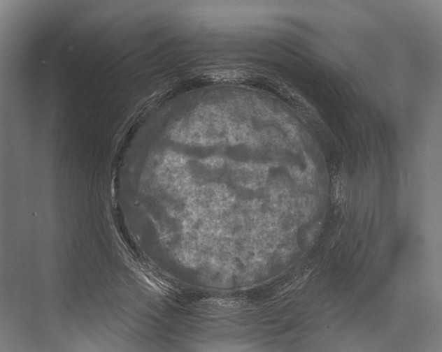 X0000073980733200609181716