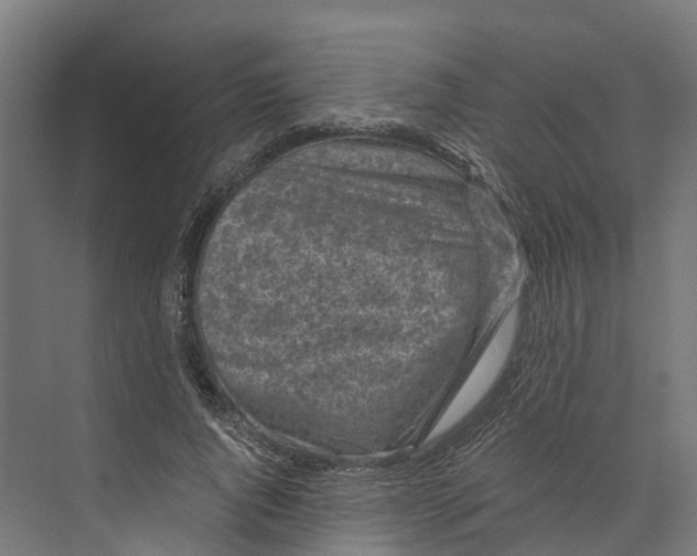 X0000073980736200609181716