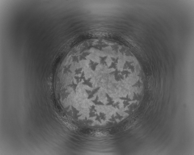 X0000073980737200609181716