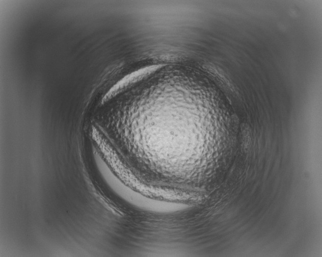 X0000073980738200609181716