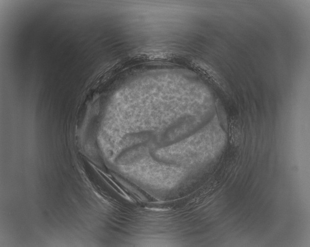 X0000073980740200609181716