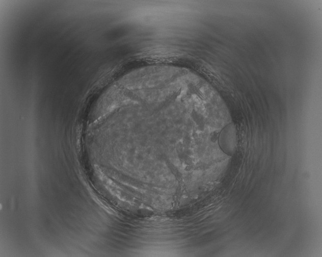 X0000073980742200609181716