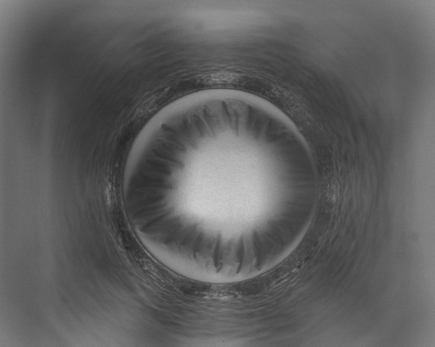 X0000073980743200609181716