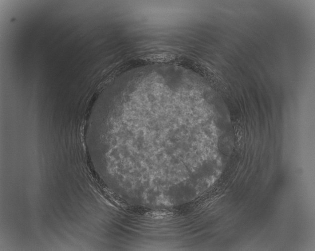 X0000073980745200609181716