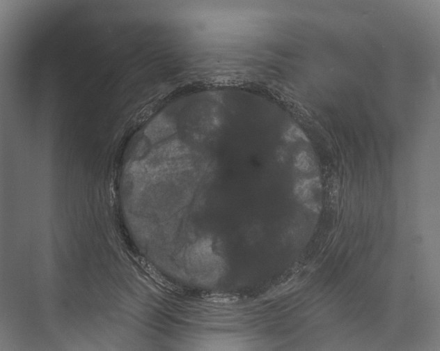 X0000073980746200609181716