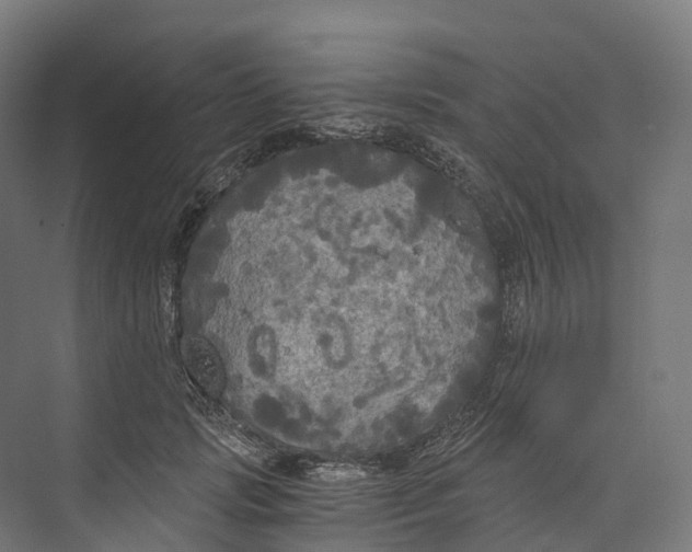 X0000073980749200609181716