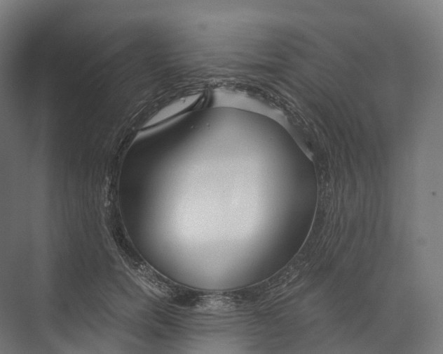 X0000073980750200609181716