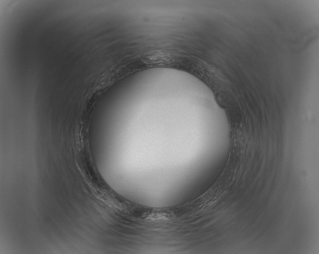 X0000073980751200609181716