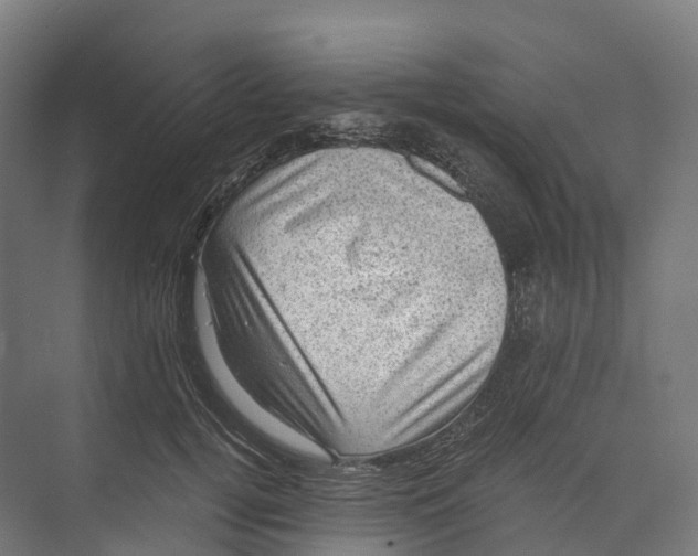 X0000073980752200609181716