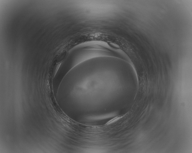 X0000073980754200609181716