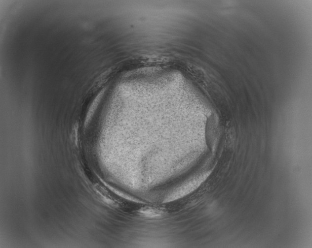 X0000073980756200609181716