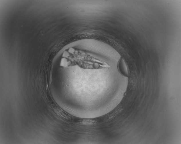 X0000073980758200609181716