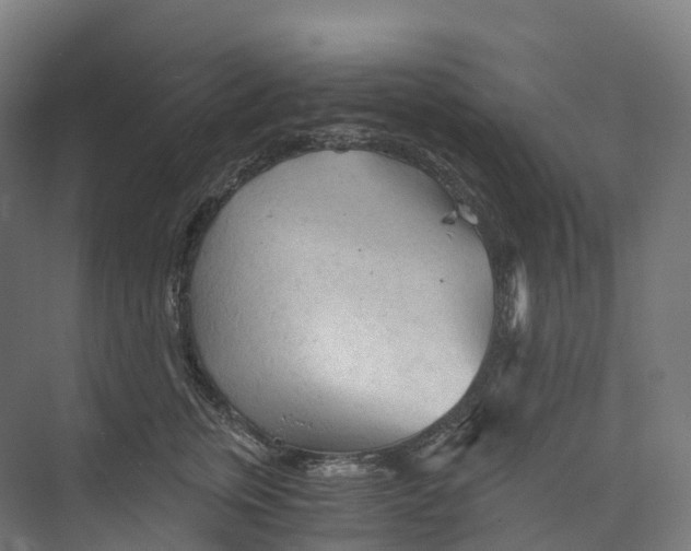 X0000073980759200609181716