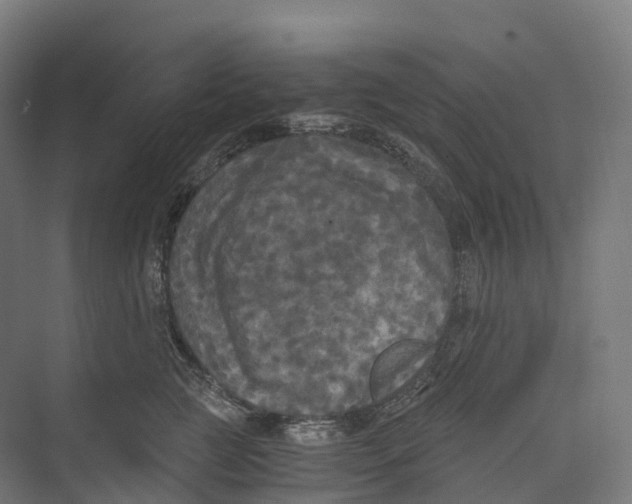 X0000073980761200609181716