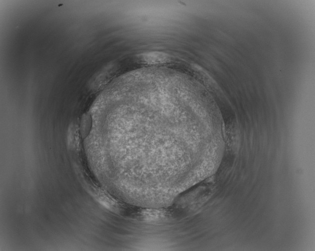 X0000073980762200609181716