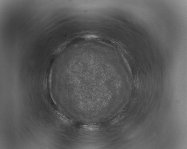 X0000073980763200609181716