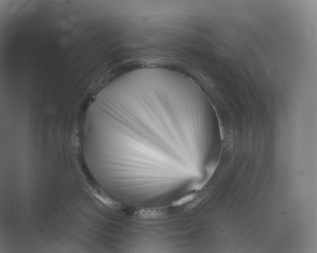 X0000073980766200609181716