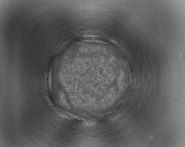 X0000073980767200609181716