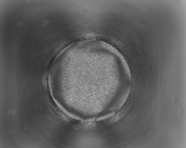 X0000073980768200609181716