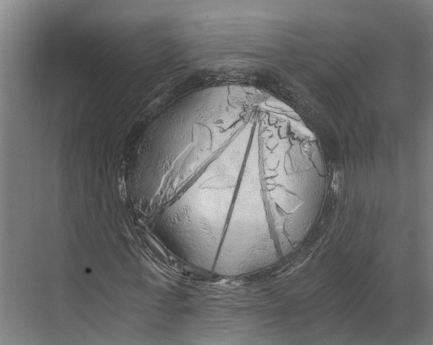 X0000073980771200609181715