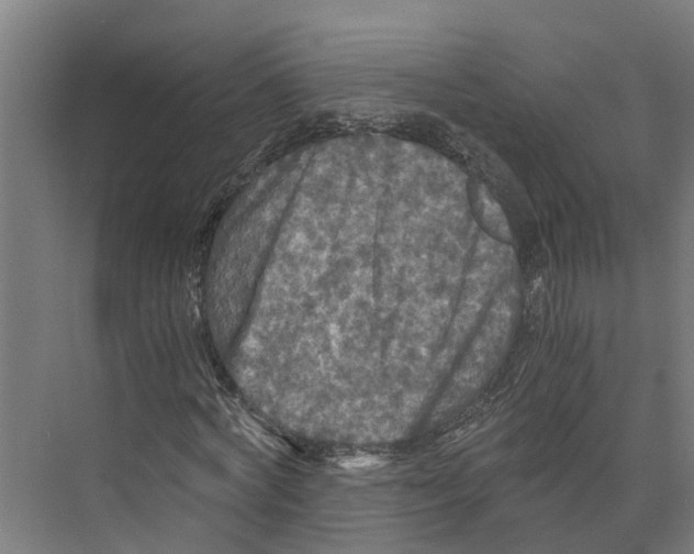 X0000073980772200609181715