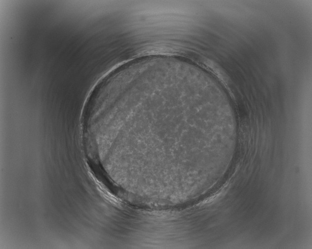 X0000073980779200609181715