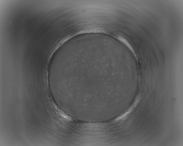 X0000073980781200609181715