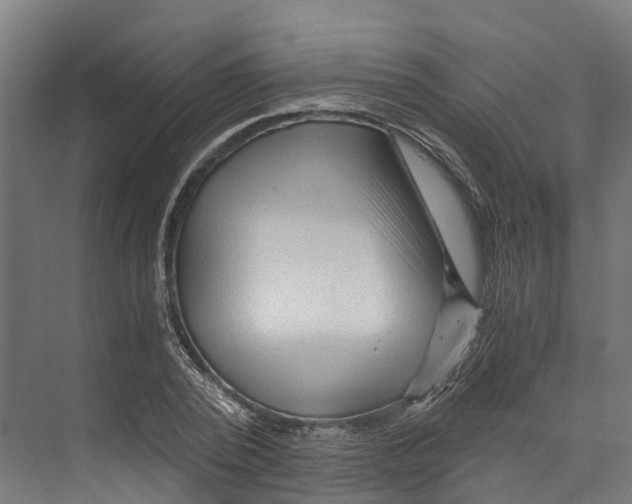 X0000073980784200609181715