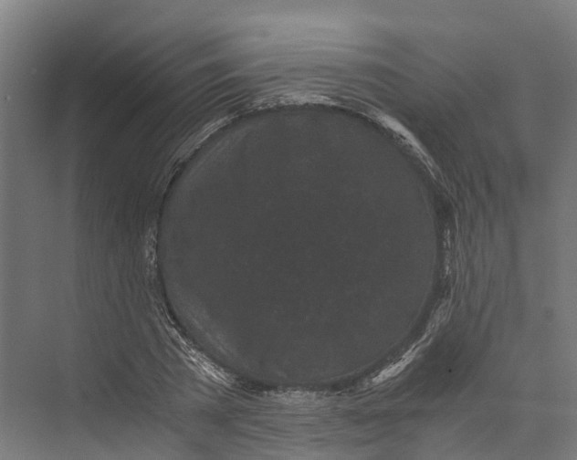 X0000073980785200609181715