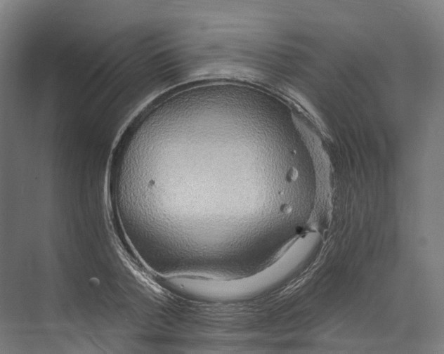 X0000073980788200609181715